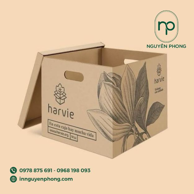 thùng carton 5 lớp sóng BC dạng thùng âm dương 